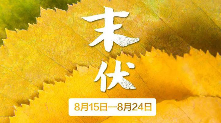 末伏時(shí)節(jié)！金環(huán)電器提醒你謹(jǐn)記這些注意事項(xiàng)