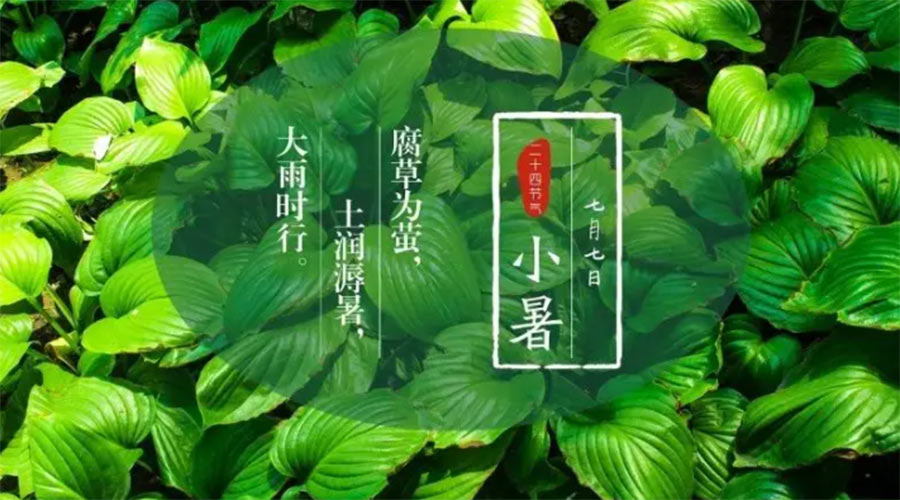 小暑時(shí)節(jié)來到！金環(huán)電器提醒大家要注意的事項(xiàng)